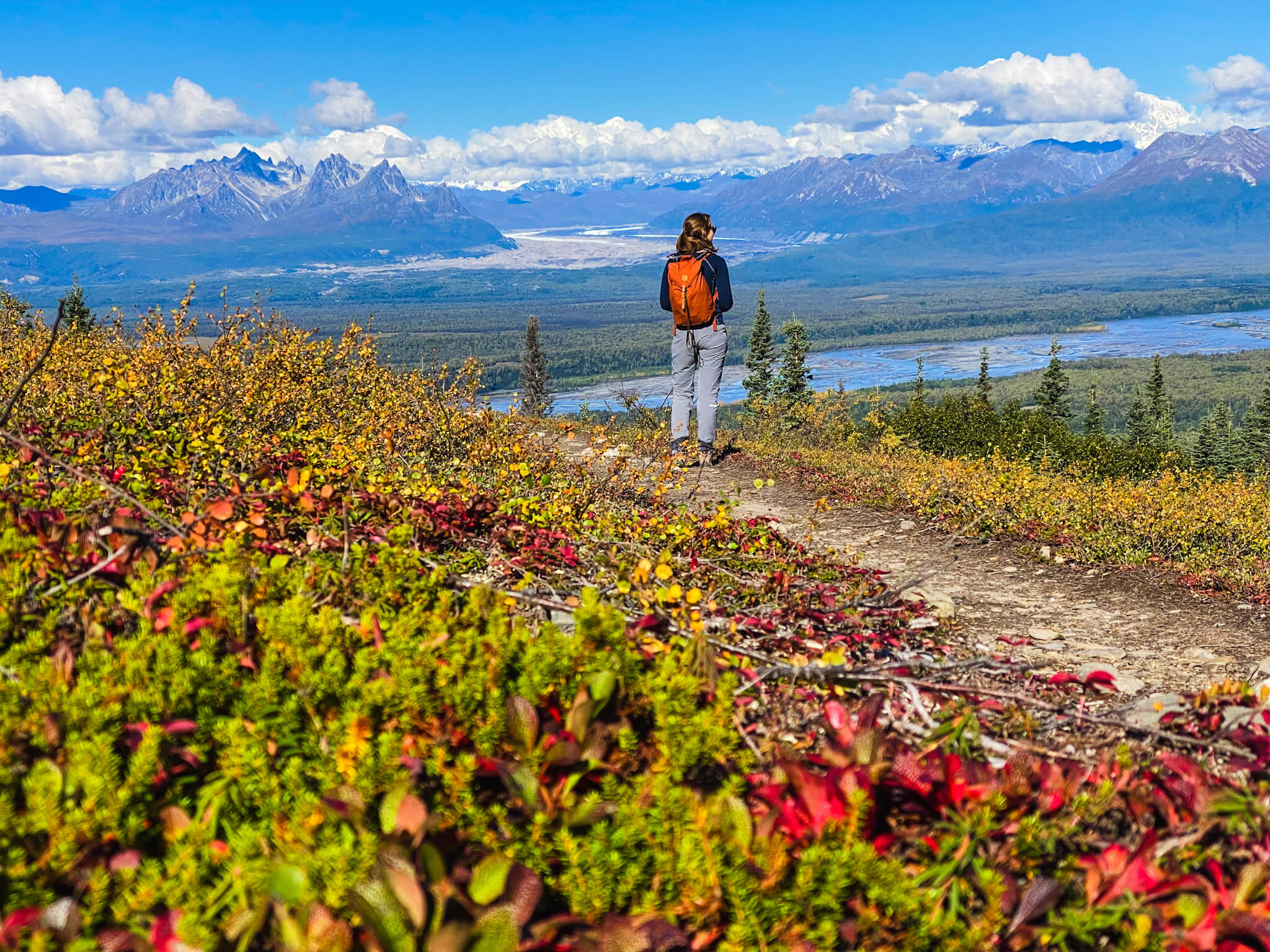 Park stanowy Denali.jpg